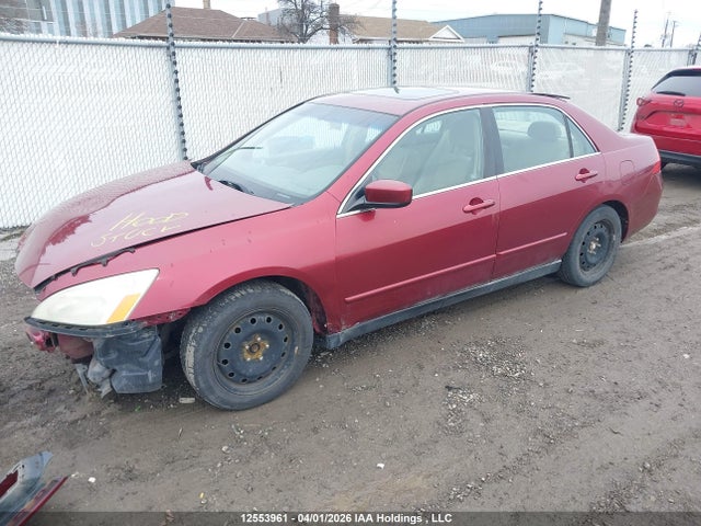 12553961 :رقم المزاد ، 1HGCM56356A804041 vin ، 2006 Honda Accord Se مزاد بيع