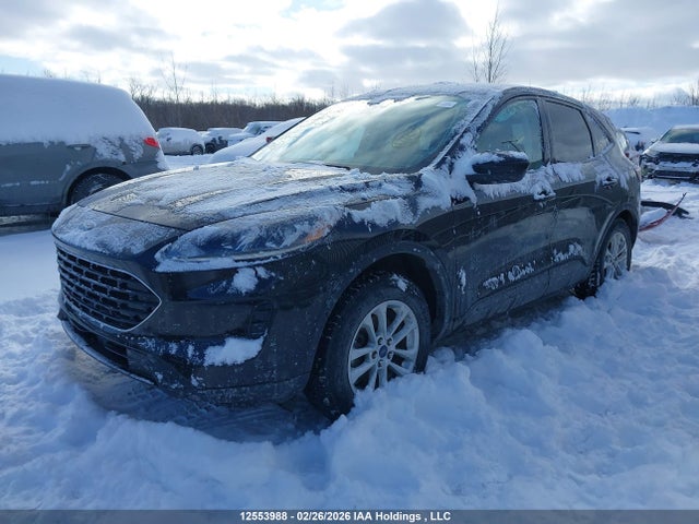 2021 Ford Escape მანქანა იყიდება აუქციონზე, vin: 1FMCU9G66MUA03401, აუქციონის ნომერი: 12553988