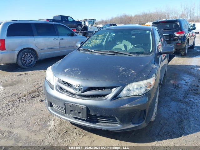 12554067 :رقم المزاد ، 2T1BU4EE7CC911493 vin ، 2012 Toyota Corolla مزاد بيع