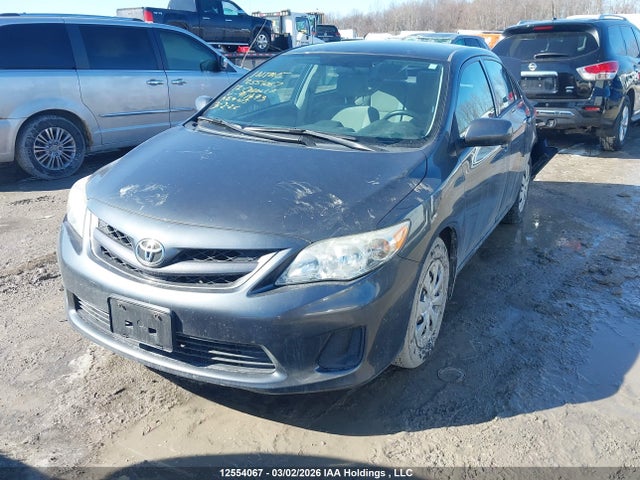 12554067 :رقم المزاد ، 2T1BU4EE7CC911493 vin ، 2012 Toyota Corolla مزاد بيع