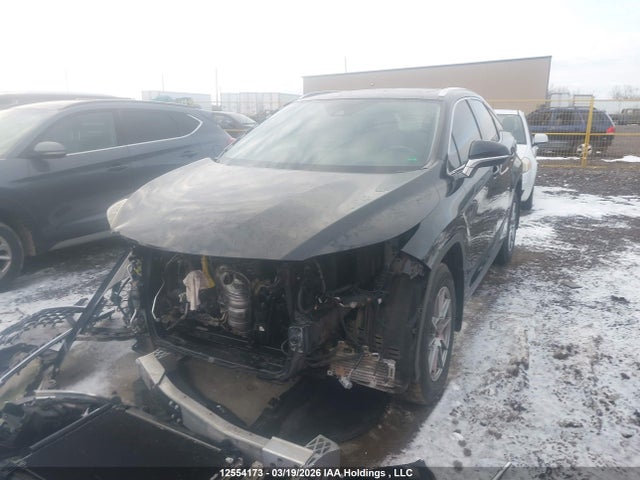 2020 Lexus Rx 350 მანქანა იყიდება აუქციონზე, vin: 2T2JZMDA9LC221011, აუქციონის ნომერი: 12554173