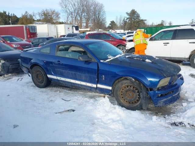 12554241 :رقم المزاد ، 1ZVFT80N375327322 vin ، 2007 Ford Mustang مزاد بيع