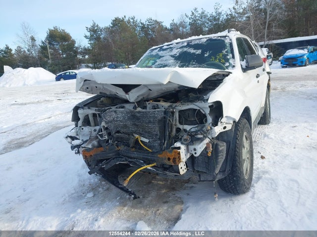 12554244 :رقم المزاد ، 1FMCU9D74AKC86613 vin ، 2010 Ford Escape Xlt مزاد بيع