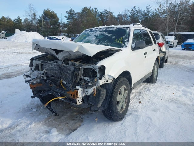 12554244 :رقم المزاد ، 1FMCU9D74AKC86613 vin ، 2010 Ford Escape Xlt مزاد بيع