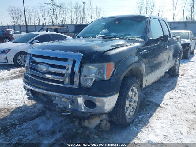 2009 Ford F-150 Fx4/xlt მანქანა იყიდება აუქციონზე, vin: 1FTPX04V99KB72450, აუქციონის ნომერი: 12554266