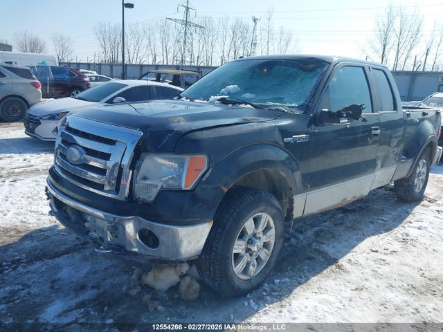 2009 Ford F-150 Fx4/xlt მანქანა იყიდება აუქციონზე, vin: 1FTPX04V99KB72450, აუქციონის ნომერი: 12554266