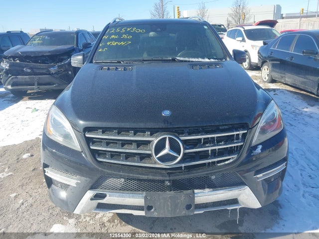 Mercedes-Benz Ml 350 Bluetec 2014 4JGDA2EB3EA438447 Image 12
