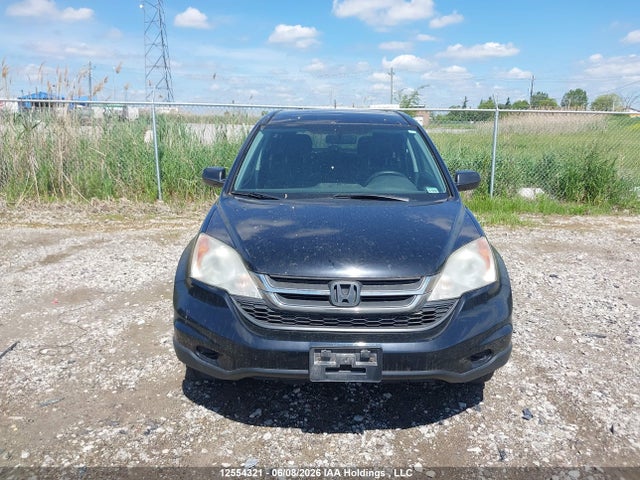 12554321 :رقم المزاد ، 5J6RE4H33BL827100 vin ، 2011 Honda Cr-v مزاد بيع