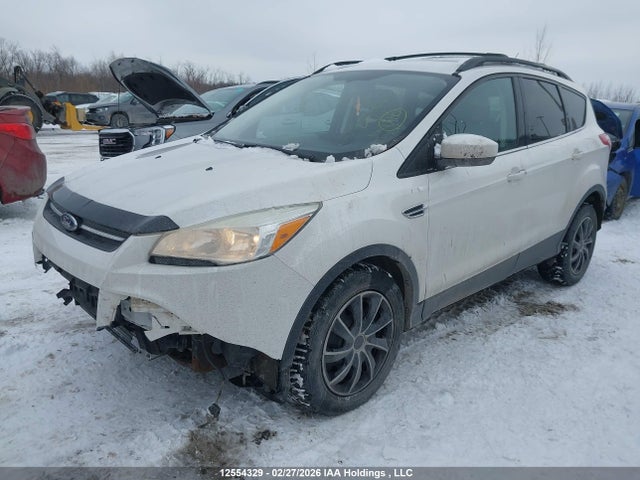 1FMCU0GXXEUD75040 Ford Escape