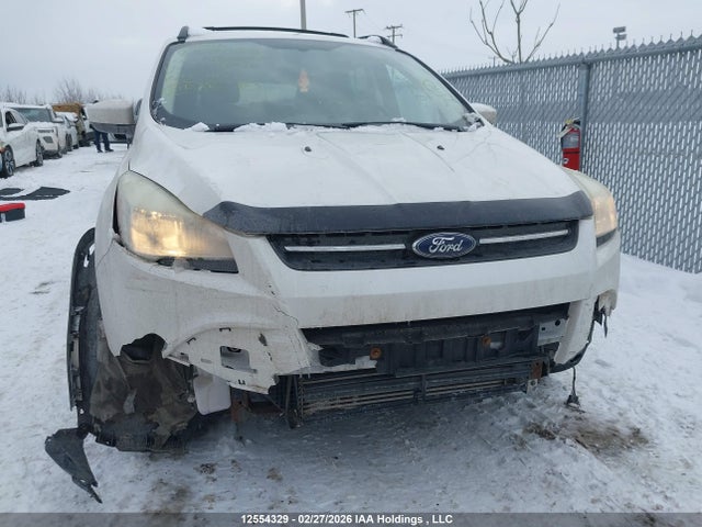 1FMCU0GXXEUD75040 Ford Escape