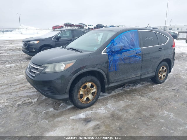 Aukcja sprzedaży 2012 Honda Cr-v Lx, vin: 2HKRM4H31CH117708, numer aukcji: 12554441