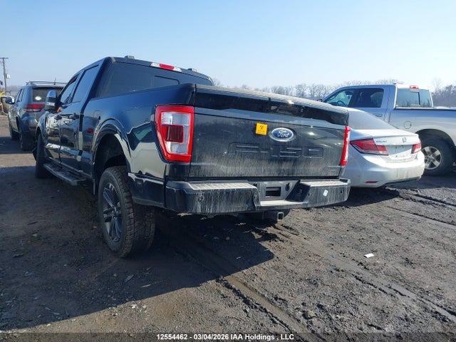 Aukcja sprzedaży 2023 Ford F150 Supercrew, vin: 1FTFW1E81PKF52831, numer aukcji: 12554462