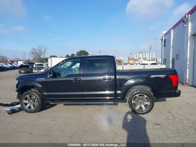 12554580 :رقم المزاد ، 1FTEW1E46LFB91771 vin ، 2020 Ford F150 Supercrew مزاد بيع