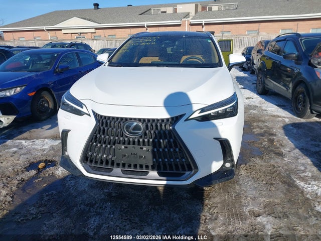 12554589 :رقم المزاد ، 2T2GKCEZ5TC061903 vin ، 2026 Lexus Nx Nx 350h مزاد بيع