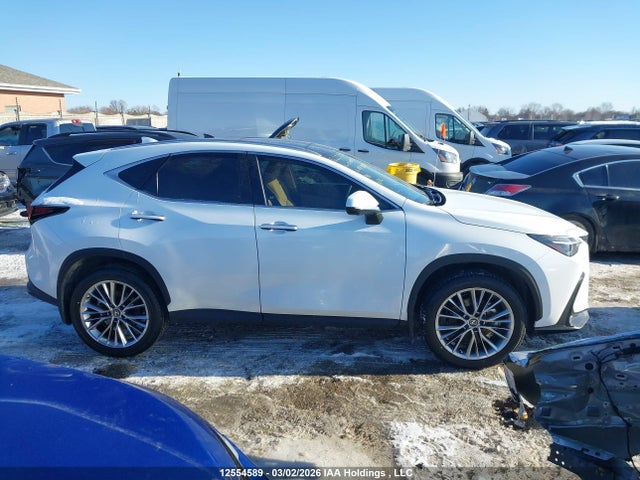 12554589 :رقم المزاد ، 2T2GKCEZ5TC061903 vin ، 2026 Lexus Nx Nx 350h مزاد بيع