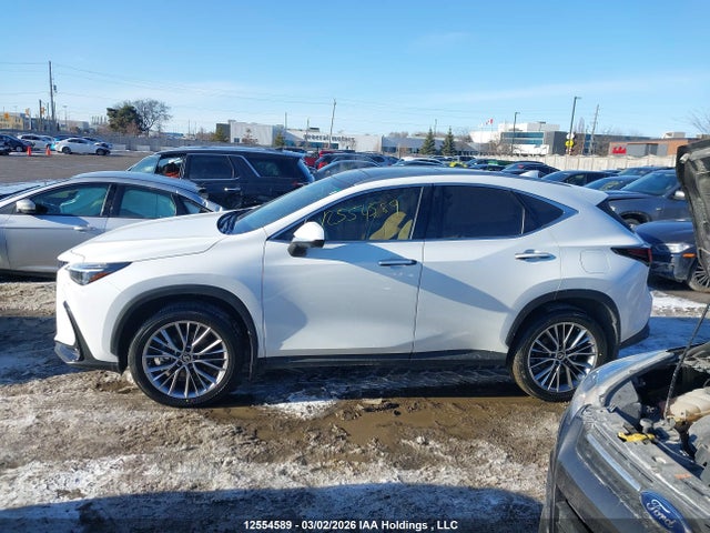 12554589 :رقم المزاد ، 2T2GKCEZ5TC061903 vin ، 2026 Lexus Nx Nx 350h مزاد بيع