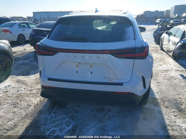 12554589 :رقم المزاد ، 2T2GKCEZ5TC061903 vin ، 2026 Lexus Nx Nx 350h مزاد بيع