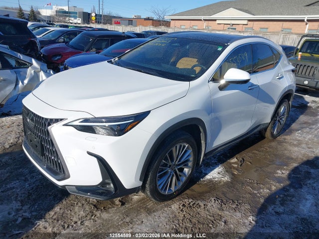 12554589 :رقم المزاد ، 2T2GKCEZ5TC061903 vin ، 2026 Lexus Nx Nx 350h مزاد بيع