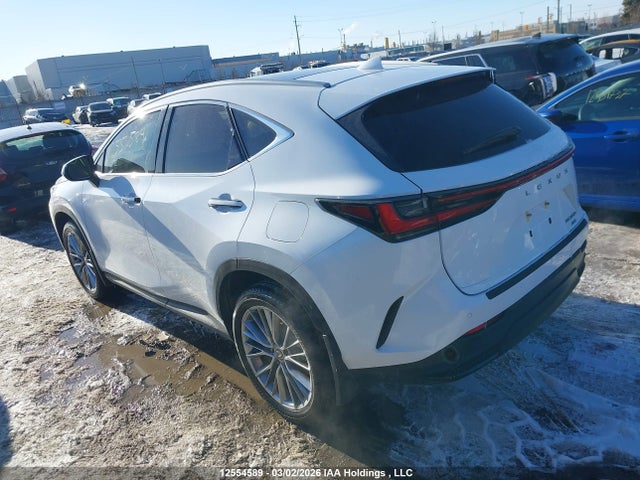 12554589 :رقم المزاد ، 2T2GKCEZ5TC061903 vin ، 2026 Lexus Nx Nx 350h مزاد بيع