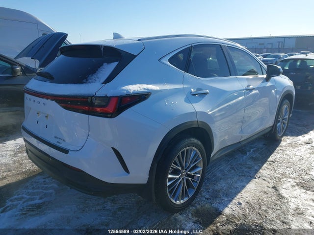 12554589 :رقم المزاد ، 2T2GKCEZ5TC061903 vin ، 2026 Lexus Nx Nx 350h مزاد بيع