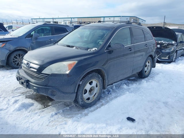 12554637 :رقم المزاد ، 5J6RE487X8L813917 vin ، 2008 Honda Cr-v Ex-l مزاد بيع