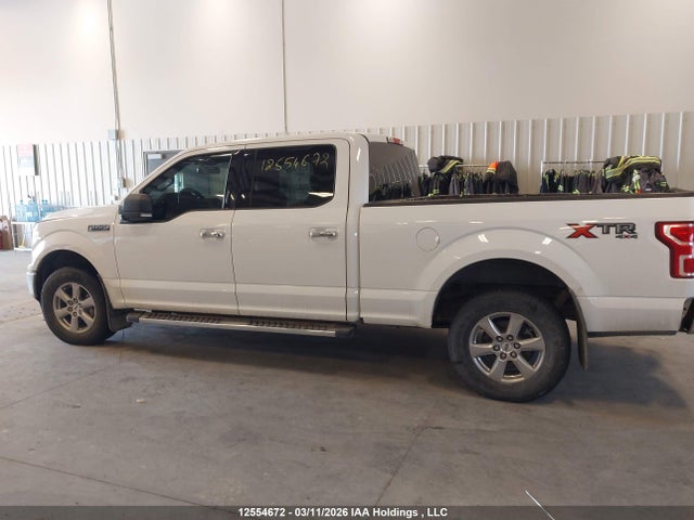 Продаж на аукціоні авто 2019 Ford F-150 Xlt, vin: 1FTFW1E58KKE11091, номер лоту: 12554672