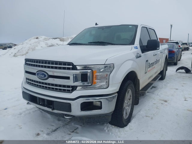 Продаж на аукціоні авто 2019 Ford F-150 Xlt, vin: 1FTFW1E58KKE11091, номер лоту: 12554672