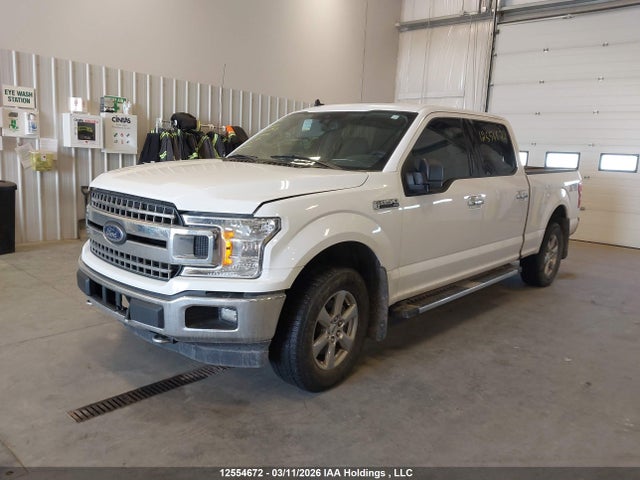 Продаж на аукціоні авто 2019 Ford F-150 Xlt, vin: 1FTFW1E58KKE11091, номер лоту: 12554672
