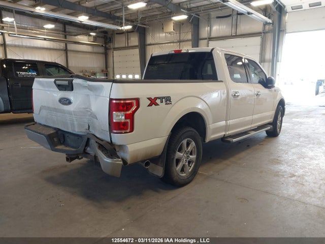 Продаж на аукціоні авто 2019 Ford F-150 Xlt, vin: 1FTFW1E58KKE11091, номер лоту: 12554672