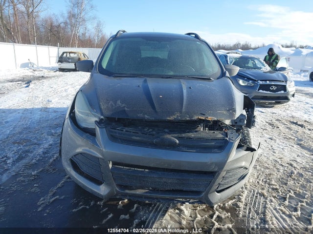 Aukcja sprzedaży 2014 Ford Escape S, vin: 1FMCU0F77EUD11703, numer aukcji: 12554704