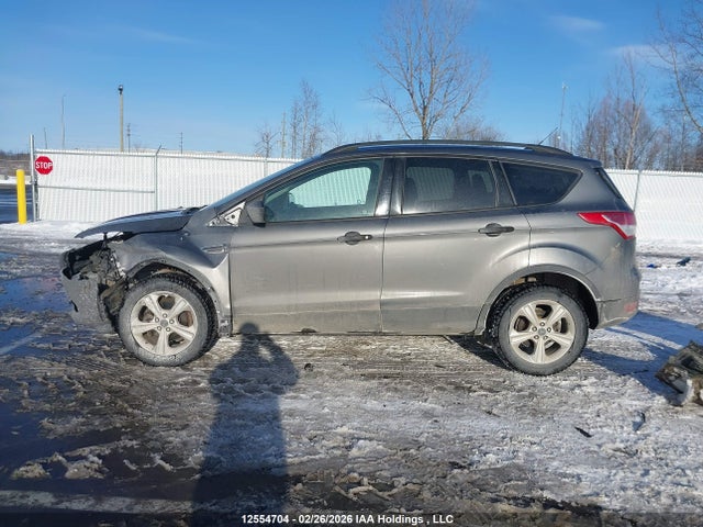 Aukcja sprzedaży 2014 Ford Escape S, vin: 1FMCU0F77EUD11703, numer aukcji: 12554704