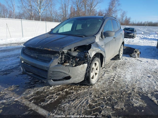 Aukcja sprzedaży 2014 Ford Escape S, vin: 1FMCU0F77EUD11703, numer aukcji: 12554704