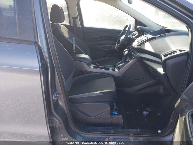 Aukcja sprzedaży 2014 Ford Escape S, vin: 1FMCU0F77EUD11703, numer aukcji: 12554704
