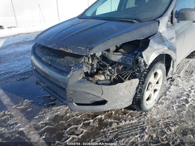 Aukcja sprzedaży 2014 Ford Escape S, vin: 1FMCU0F77EUD11703, numer aukcji: 12554704