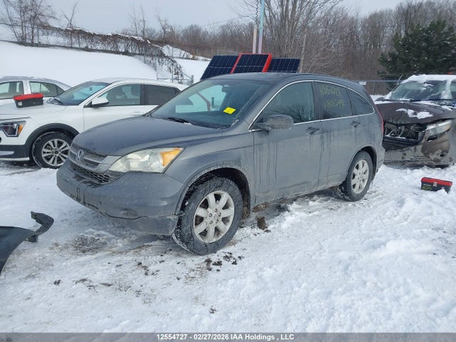 Aukcja sprzedaży 2010 Honda Cr-v, vin: 5J6RE4H33AL818797, numer aukcji: 12554727