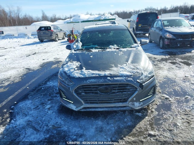 Продажа на аукционе авто 2019 Hyundai Sonata, vin: 5NPE24AF7KH730617, номер лота: 12554755