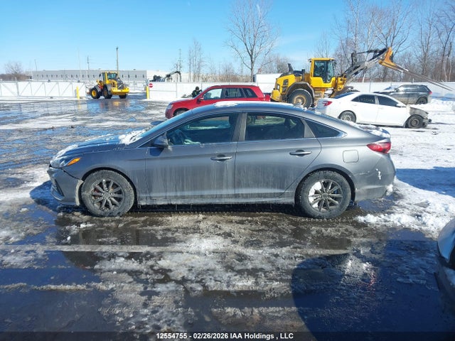 Продажа на аукционе авто 2019 Hyundai Sonata, vin: 5NPE24AF7KH730617, номер лота: 12554755