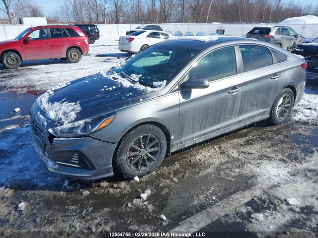 Продажа на аукционе авто 2019 Hyundai Sonata, vin: 5NPE24AF7KH730617, номер лота: 12554755