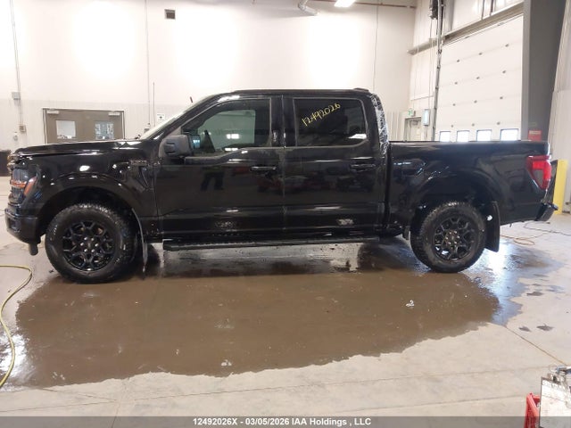 1FTFW3L53RKE27711 Ford F-150 Xlt