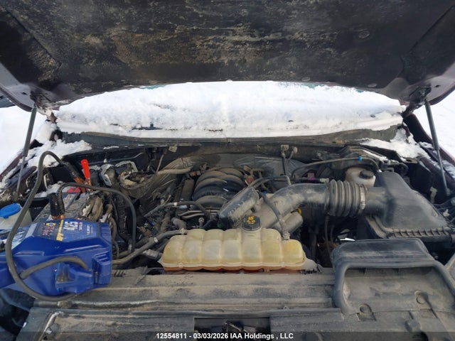 1FTFW1E52KFB53627 Ford F-150 Xlt