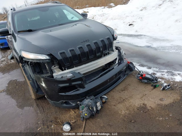 Продажа на аукционе авто 2017 Jeep Cherokee, vin: 1C4PJMDS8HW644949, номер лота: 12554839