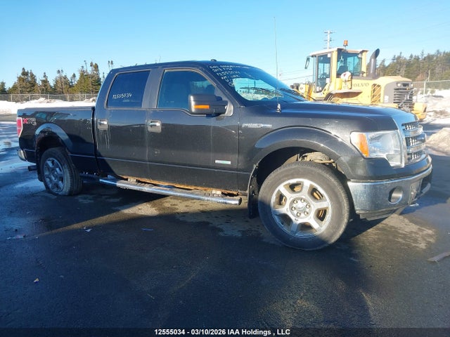Продаж на аукціоні авто 2013 Ford F150 Supercrew, vin: 1FTFW1ET8DFC29918, номер лоту: 12555034