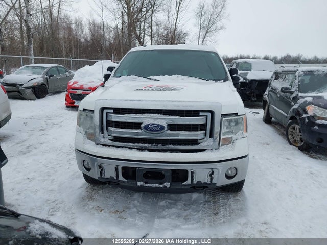 2014 Ford F150 Supercrew მანქანა იყიდება აუქციონზე, vin: 1FTVW1EF5EKE74707, აუქციონის ნომერი: 12555205