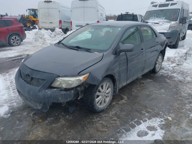 Продажа на аукционе авто 2009 Toyota Corolla, vin: 2T1BU40E29C028854, номер лота: 12555268