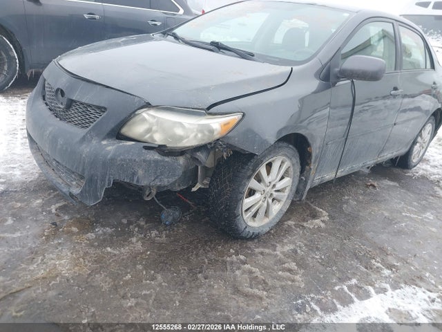 Продажа на аукционе авто 2009 Toyota Corolla, vin: 2T1BU40E29C028854, номер лота: 12555268