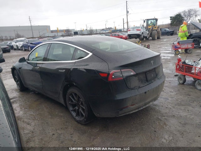 Tesla Model 3 Long Range/mid Range/standard Range/standard Range Plus 2019 5YJ3E1EA1KF190028 Image 13