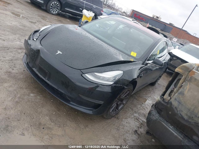 Tesla Model 3 Long Range/mid Range/standard Range/standard Range Plus 2019 5YJ3E1EA1KF190028 Image 2