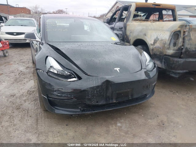 Tesla Model 3 Long Range/mid Range/standard Range/standard Range Plus 2019 5YJ3E1EA1KF190028 Image 6