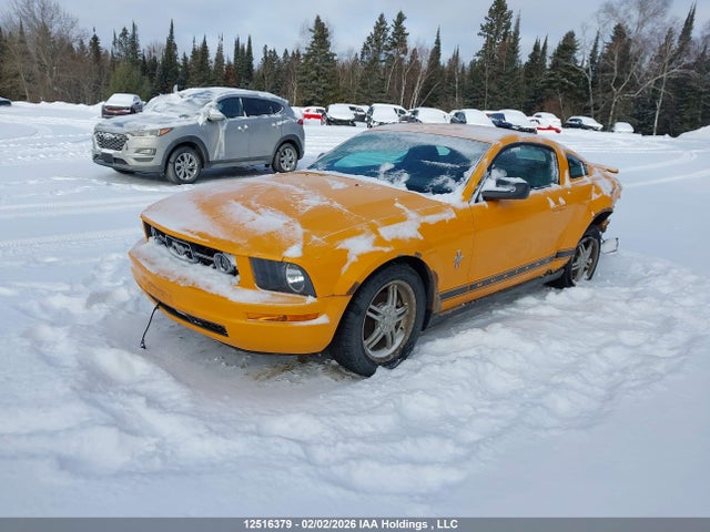 2007 Ford Mustang V6 მანქანა იყიდება აუქციონზე, vin: 1ZVFT80N575205173, აუქციონის ნომერი: 12516379