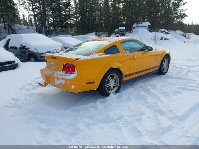 2007 Ford Mustang V6 მანქანა იყიდება აუქციონზე, vin: 1ZVFT80N575205173, აუქციონის ნომერი: 12516379